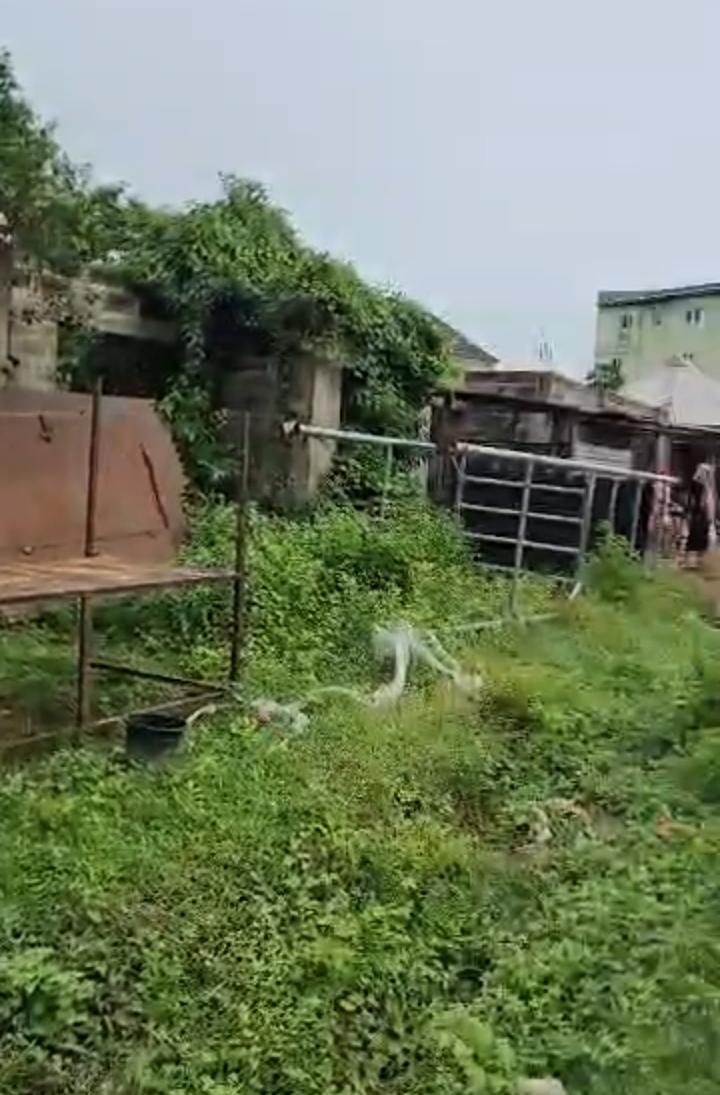 619sqm plot of land for sale at Akala express way Ibadan — ₦45,000,000 | GidiStay — 1 bed land in Off akala express, Ibadan (main view)